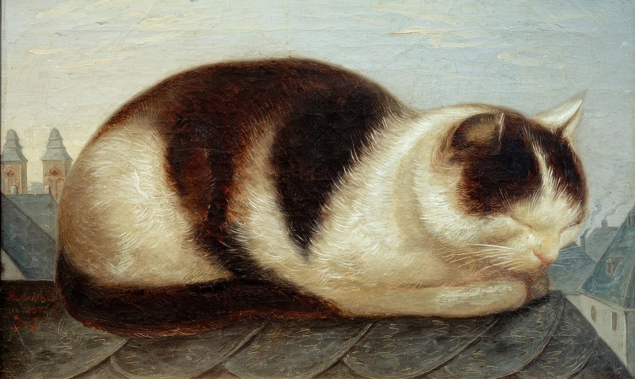 Chat - Hermann Anschütz