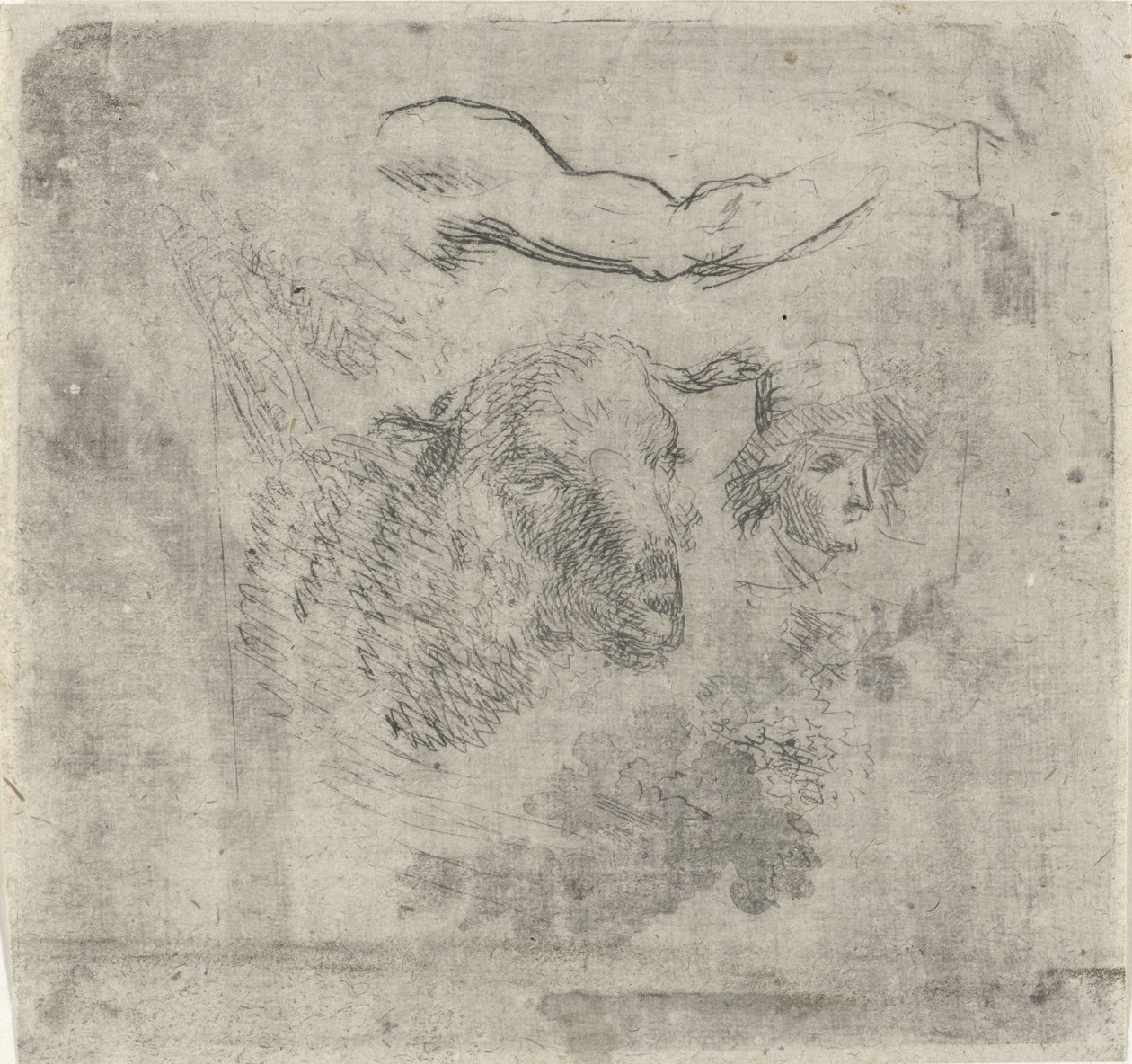 Feuille d