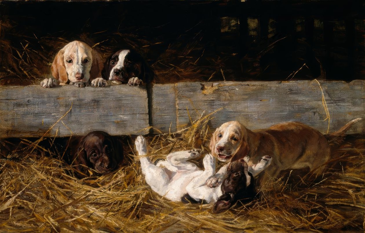 H. Biedermann-Arendts, Chiots jouant - Hermine Biedermann Arendt