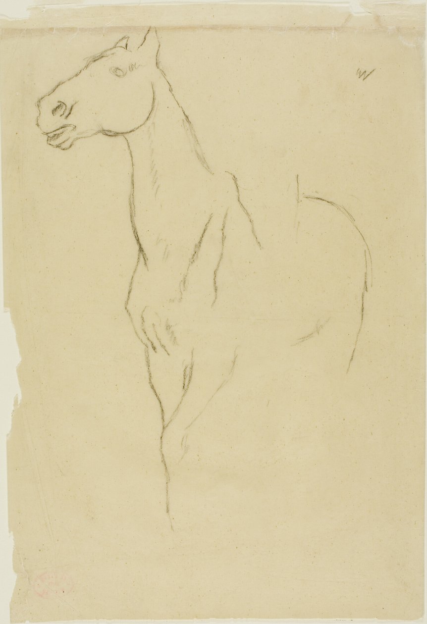 Cheval tourné trois-quarts - Hilaire Germain Edgar Degas