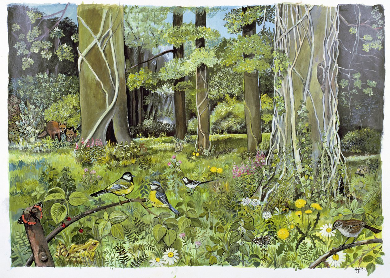 Derrière les Écuyers, Devon - Hilary Jones