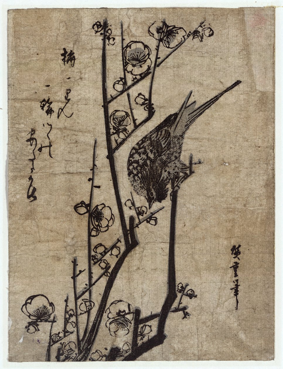 Ume ni Uguisu (Fleur de prunier et rossignol) - Utagawa Hiroshige