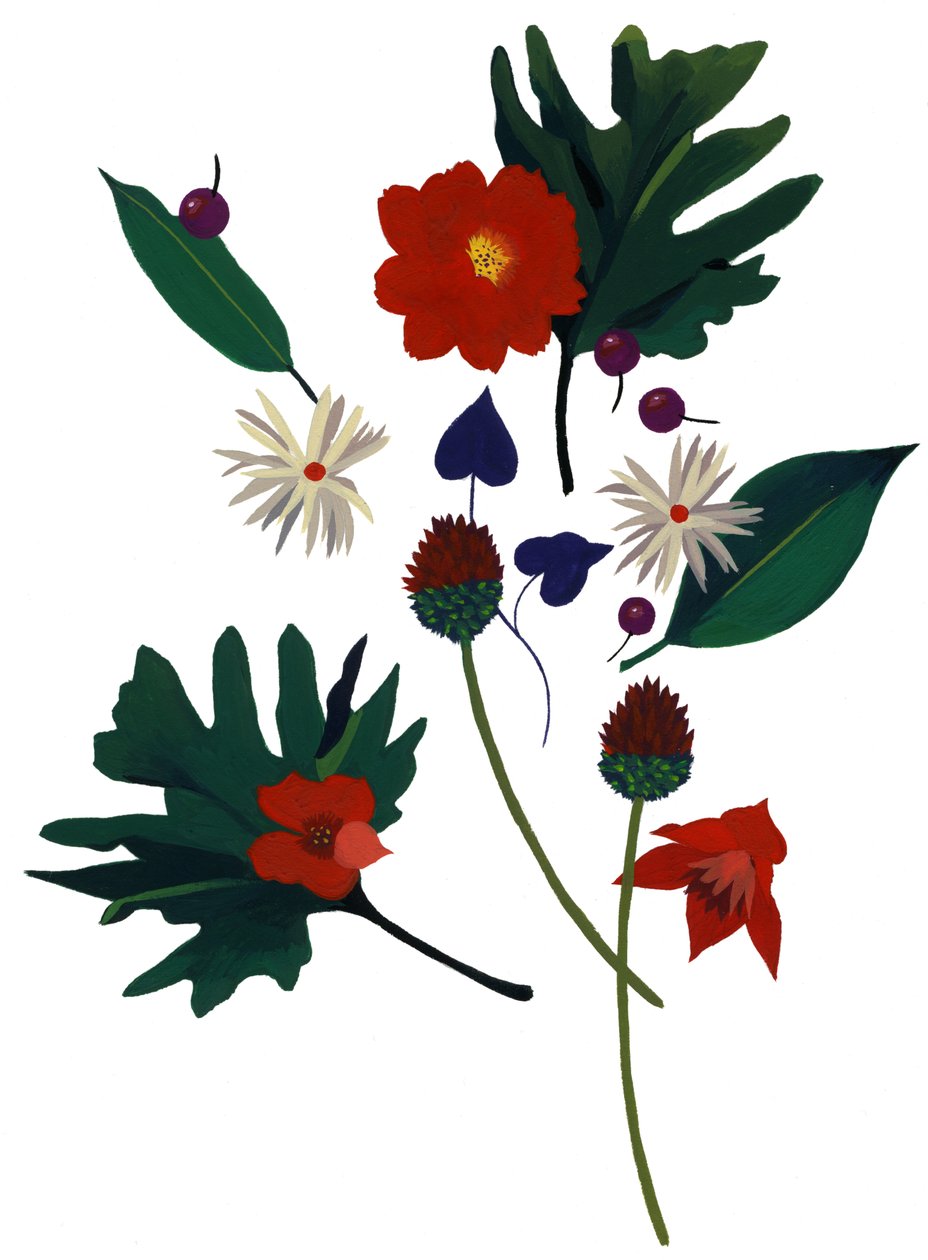 Une fleur qui fait imaginer Noël - Hiroyuki Izutsu