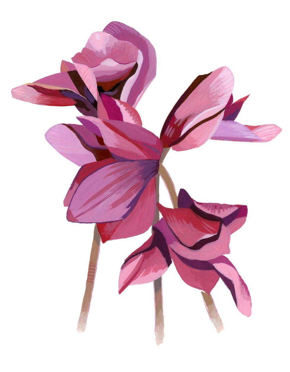 Cyclamen - Hiroyuki Izutsu