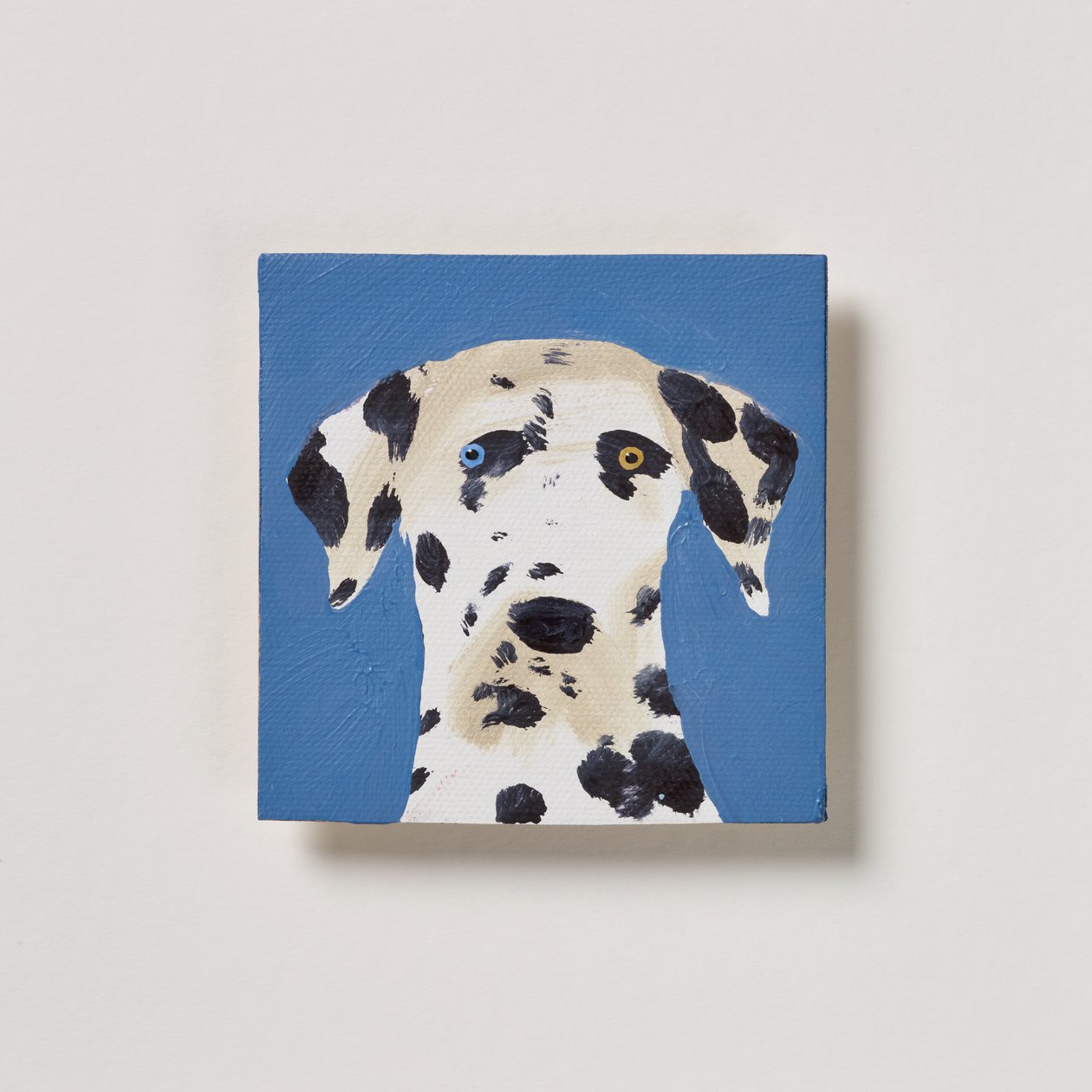 Dalmatien, 2020 - Holly Frean