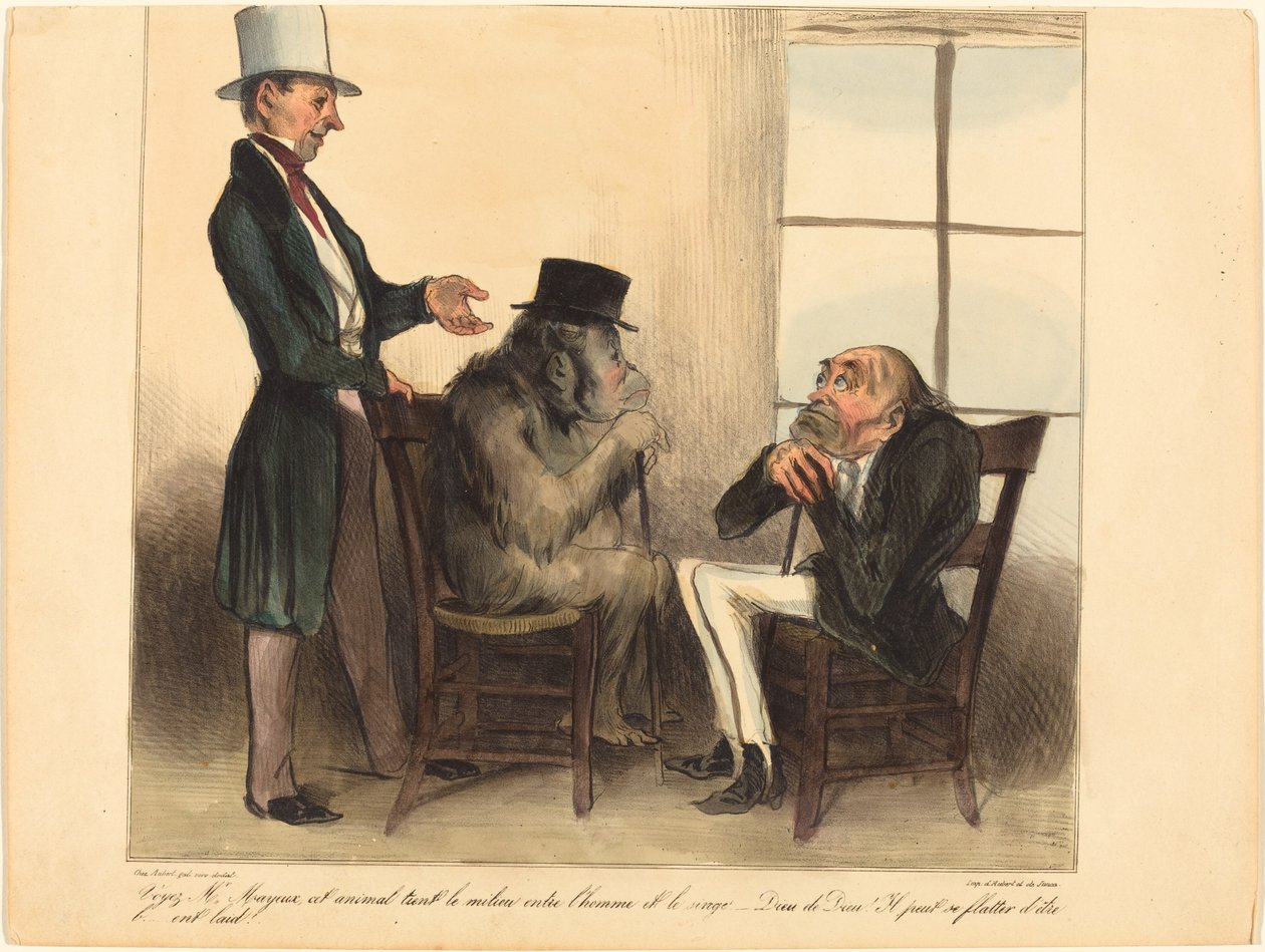 Voyez, M. Mayeux, cet animal... - Honoré Daumier