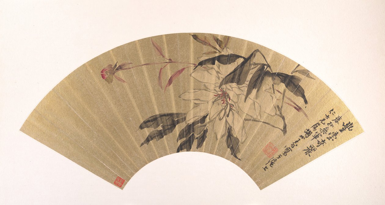 Pivoine herbacée - Hu Yuan