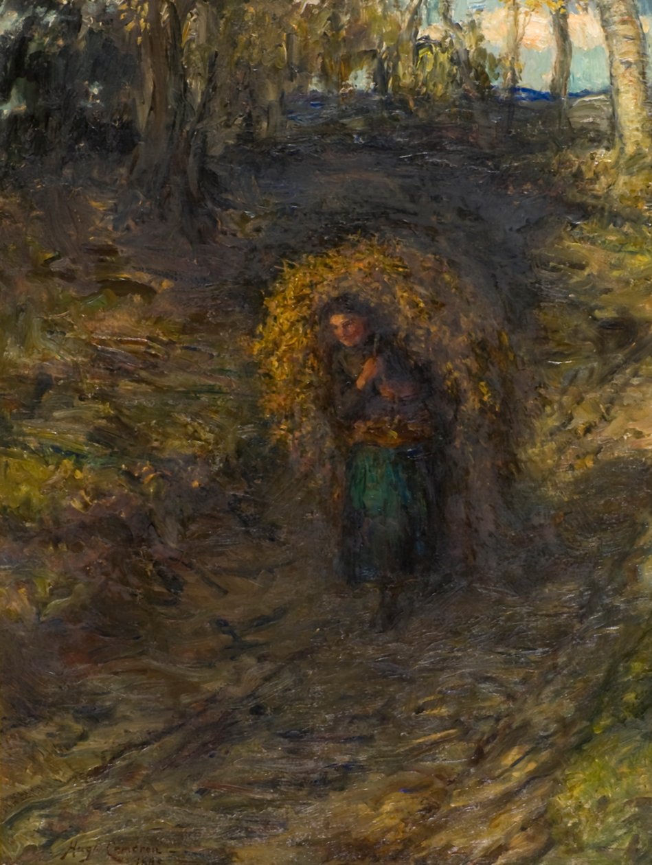 Cueilleur de fougères - Hugh Cameron