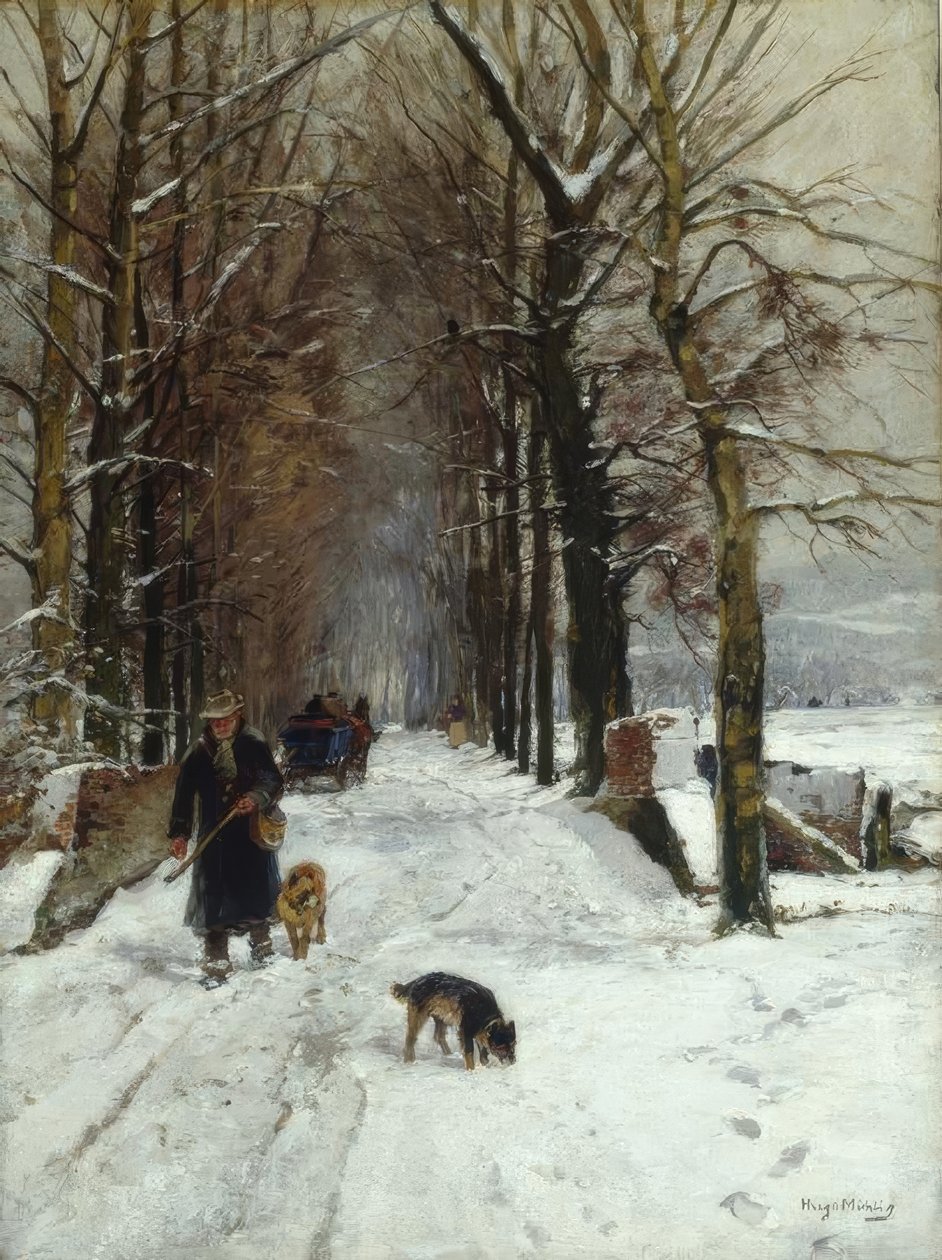 Hiver sur l