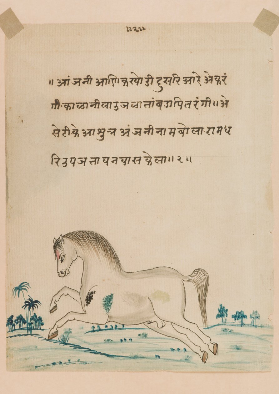Cheval - Indian School