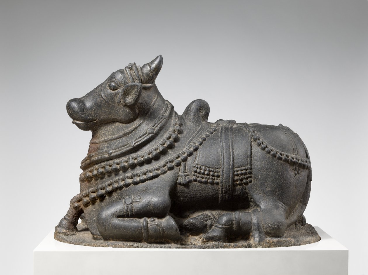 Nandi - Indian School