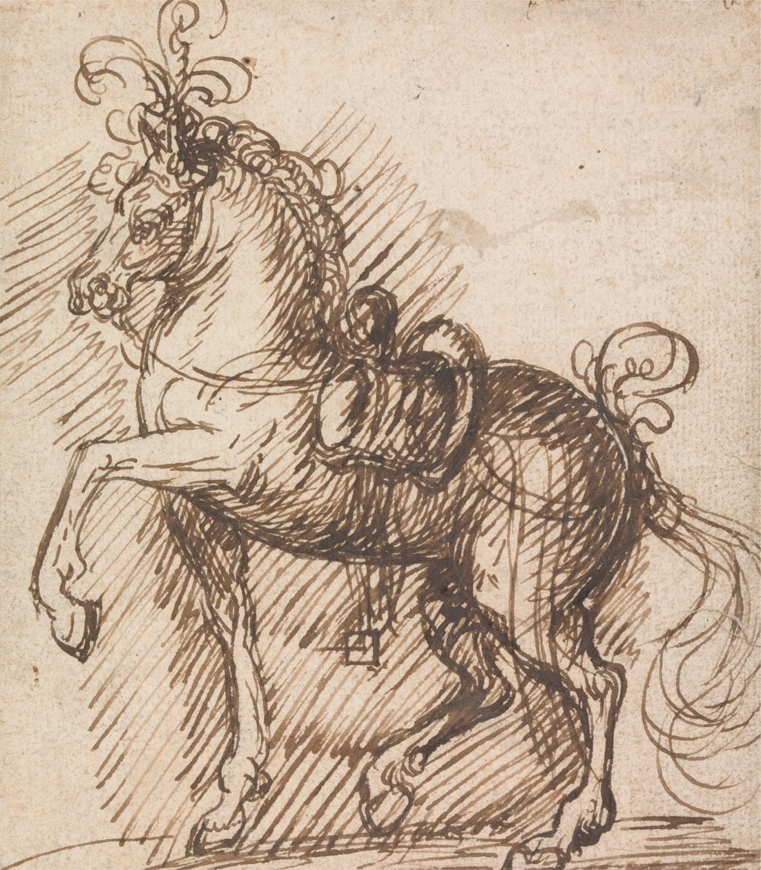 Un cheval sellé et plumé - Inigo Jones