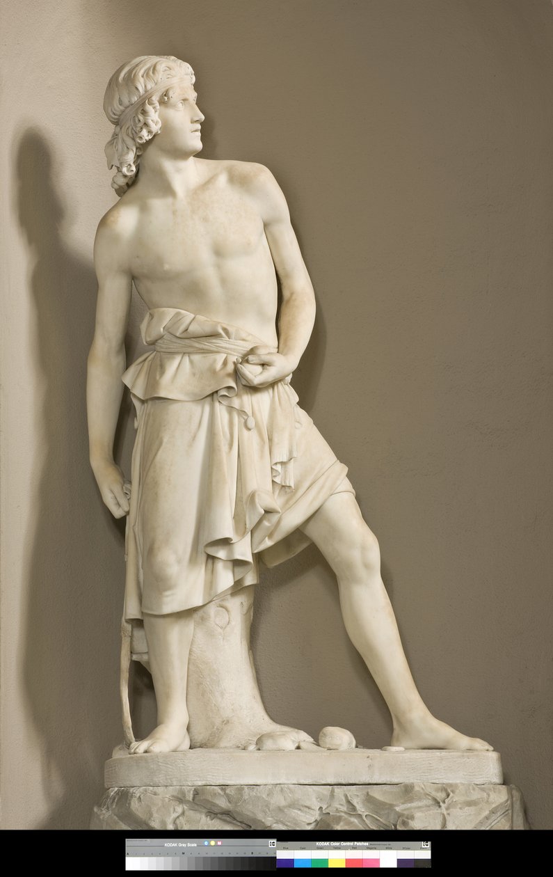 David avec la fronde, 1858 - Innocenzo Fraccaroli