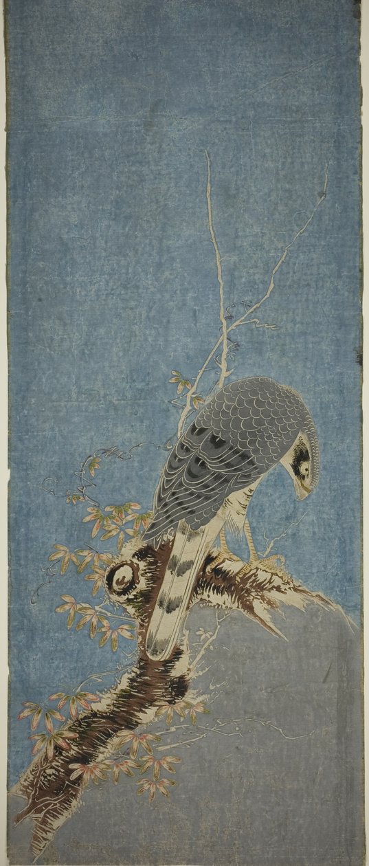 Faucon perché sur un arbre - Isoda Koryusai