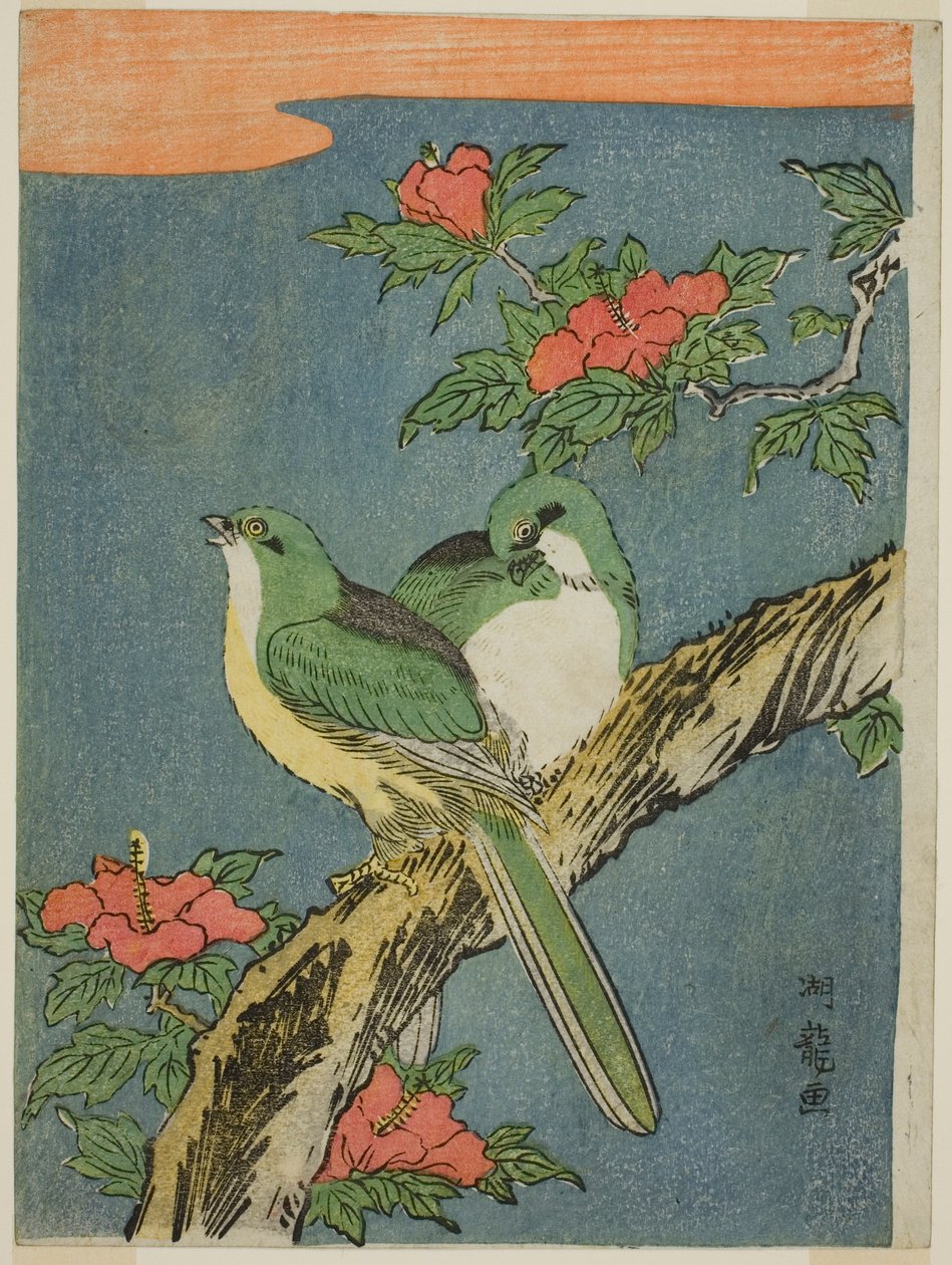 Deux oiseaux sur un hibiscus - Isoda Koryusai