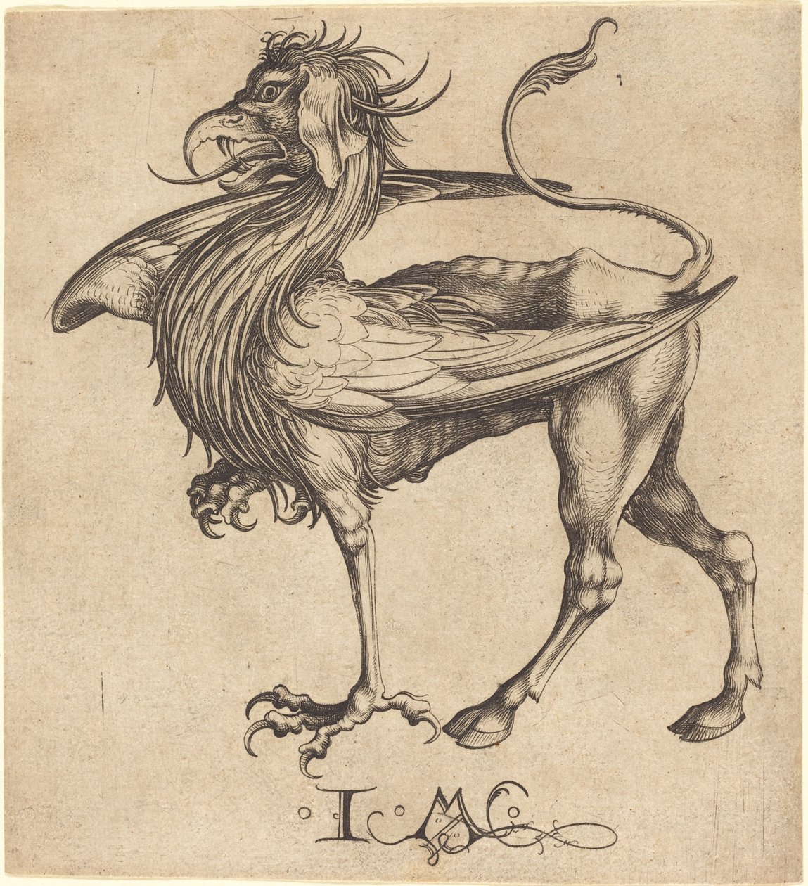 Le griffon - Israhel van Meckenem after Martin Schongauer