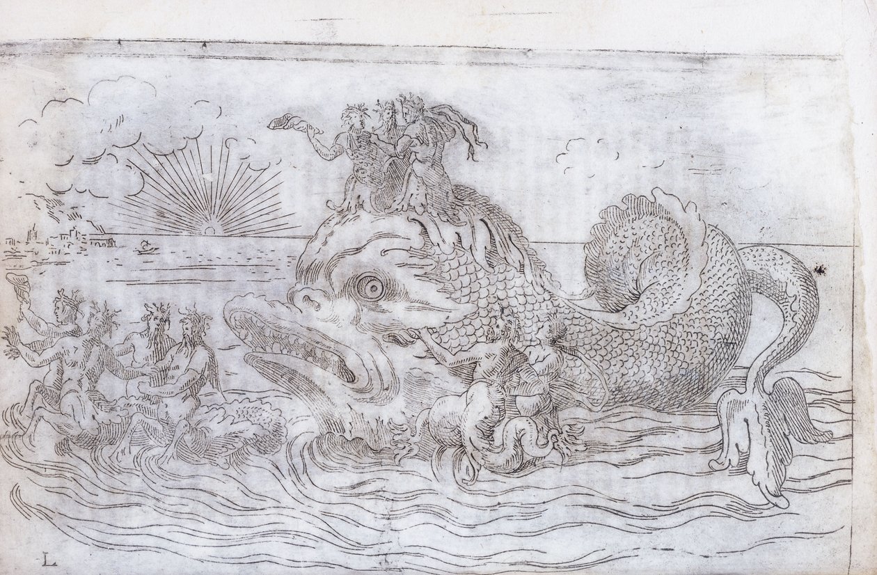 Un char de poisson fantastique, 1579 - Italian School
