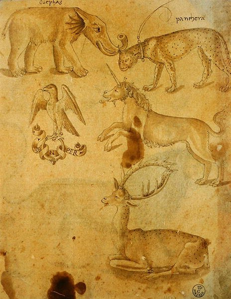 Animaux - Italian School