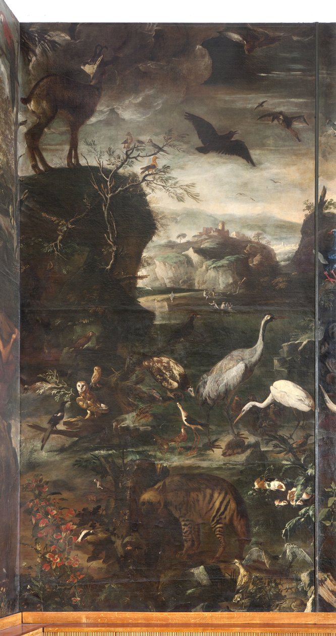 Animaux, Mythe d