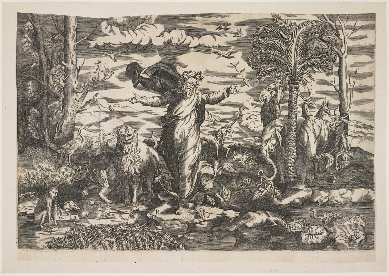Dieu créant les animaux, c.1550 - Italian School