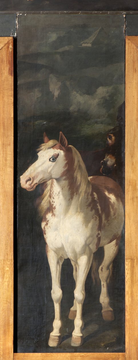 Cheval, Mythe d