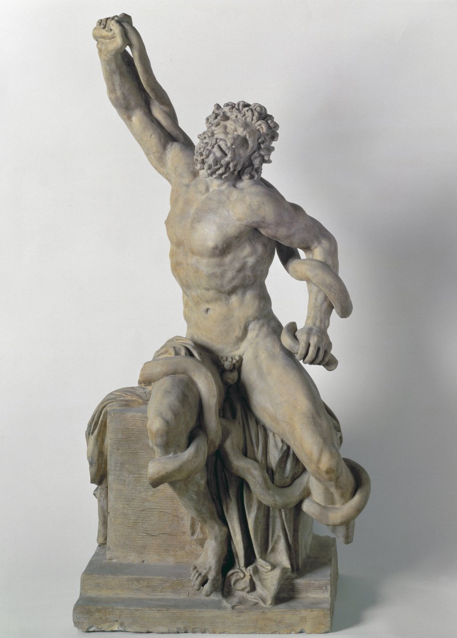 Groupe de Laocoon sans les fils - Italian School