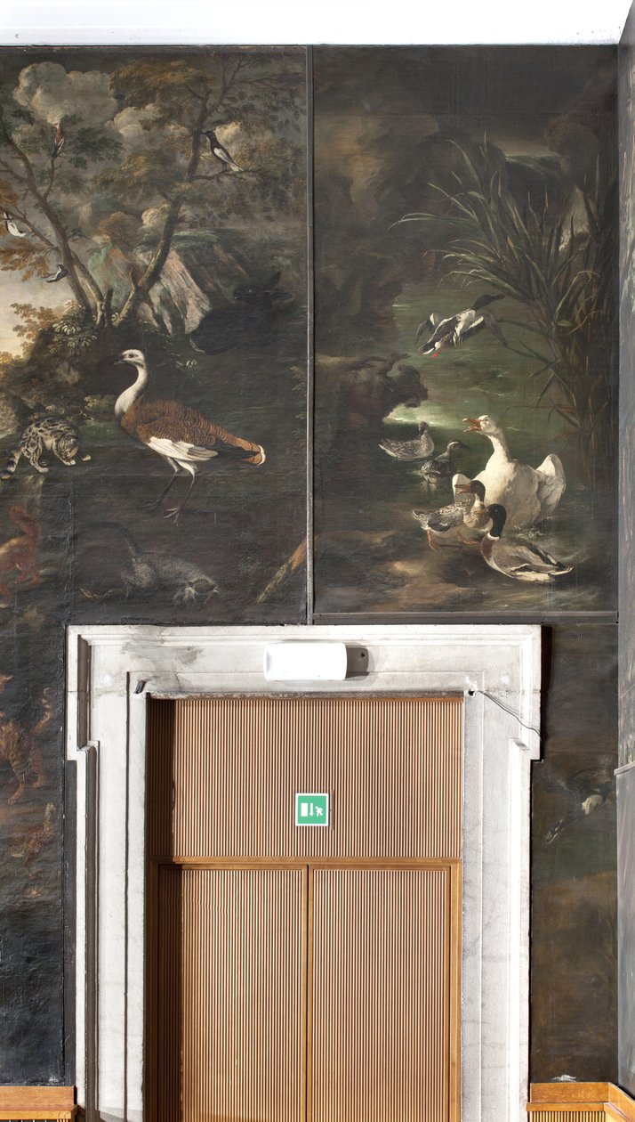 Cygne et canards, mythe d