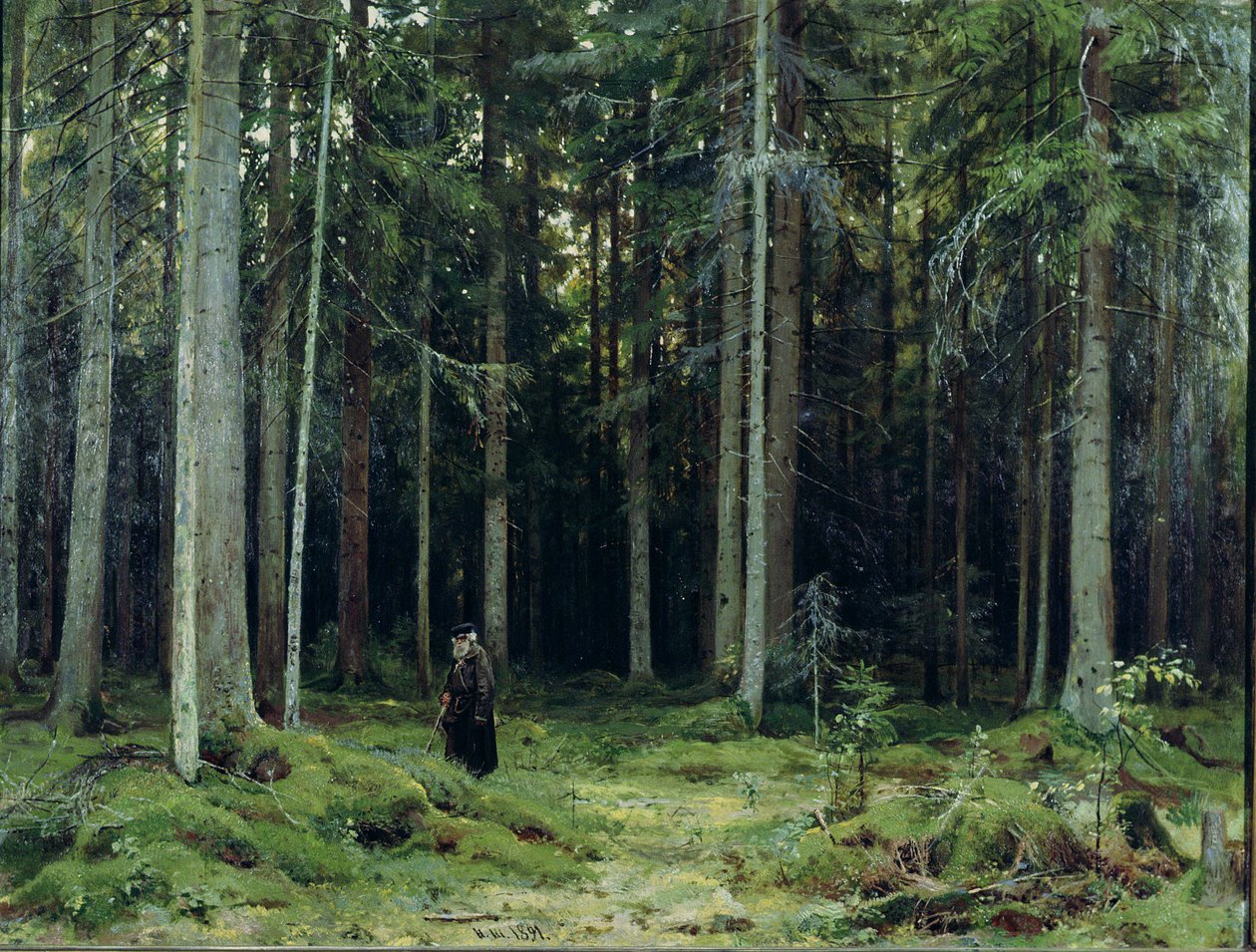 La forêt de la comtesse Mordvinov - Ivan Ivanovich Shishkin