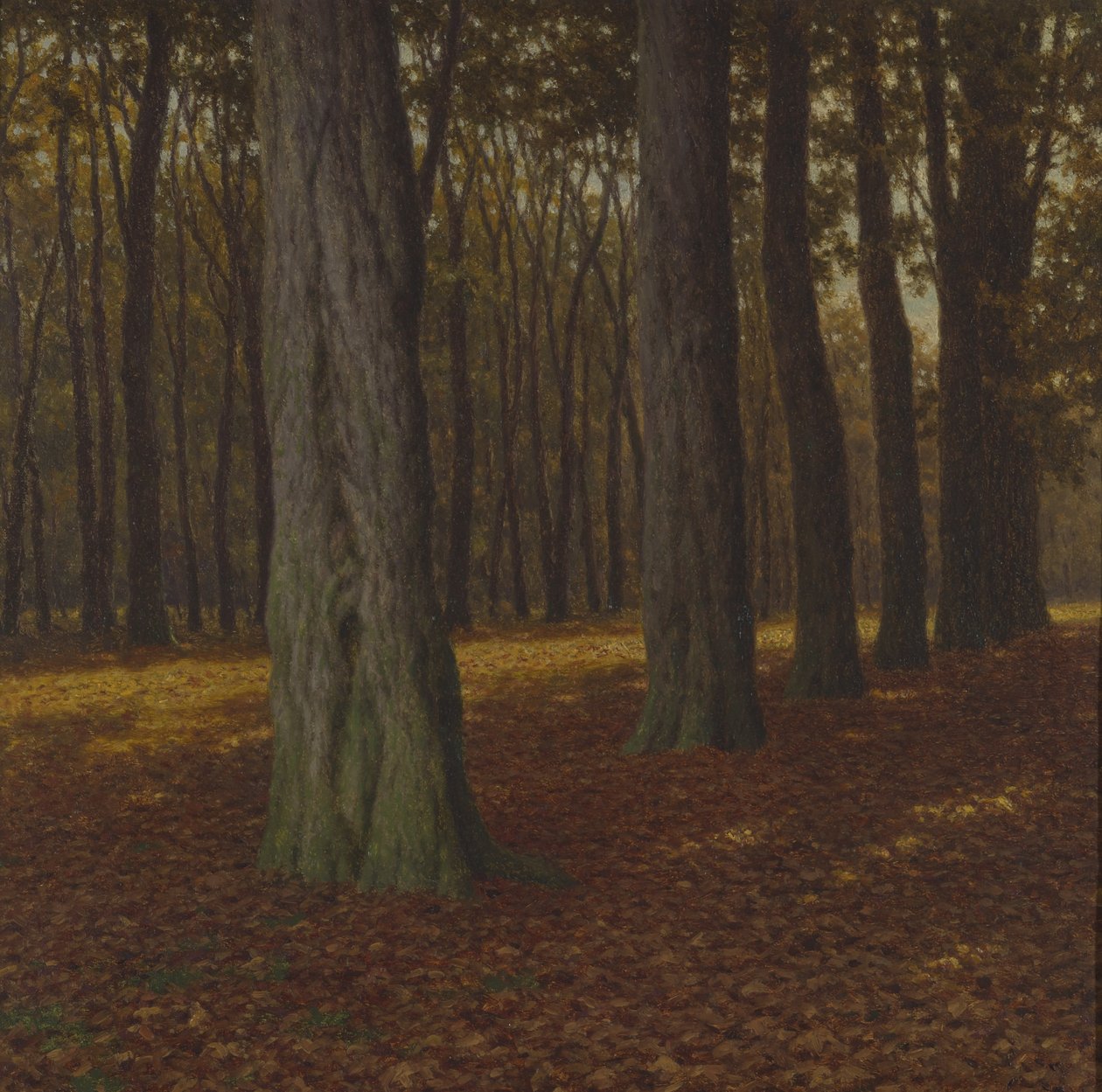 Paysage boisé - Ivan Fedorovich Choultse