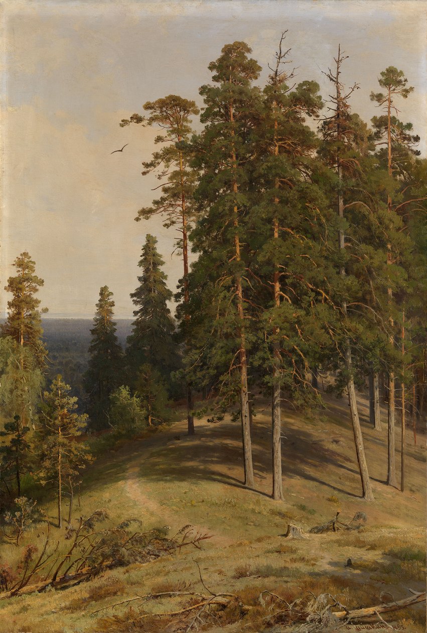 La Forêt de pins, 1895 - Ivan Ivanovich Shishkin