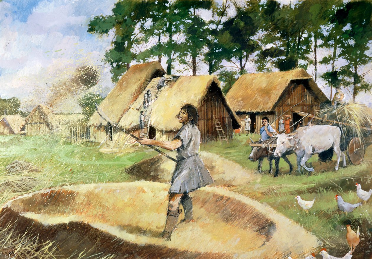 Agriculture romaine, 3e siècle, 1990-2010 - Ivan Lapper