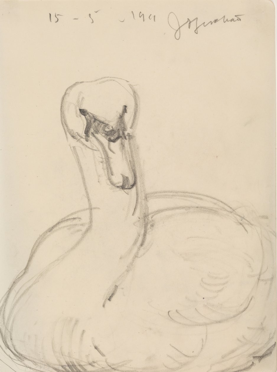 Cygne - J.A. Jerichau