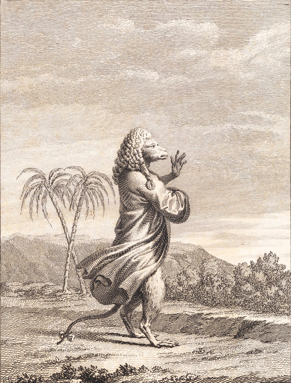 Un singe martiniquais - J.F. Clemens