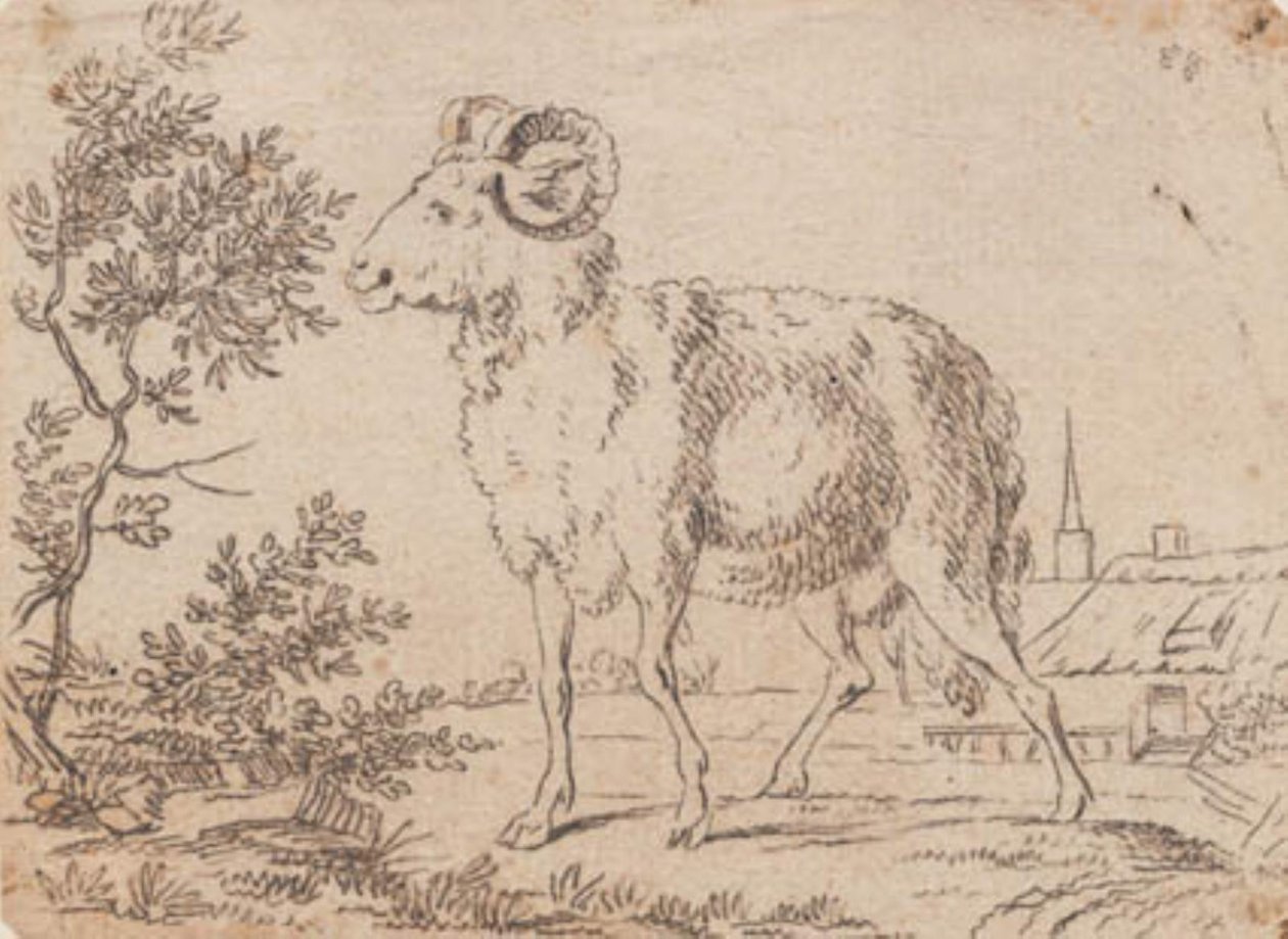 Un bélier - J.F. Clemens