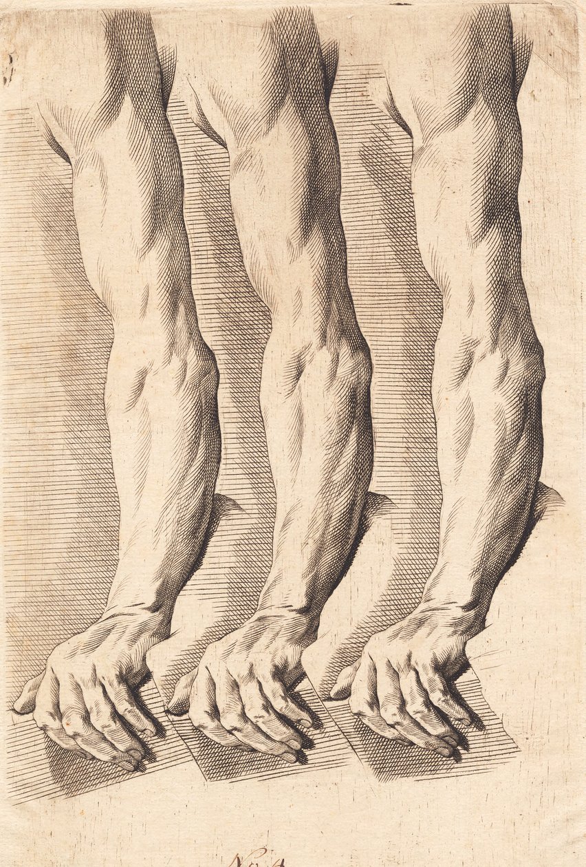 Feuille d