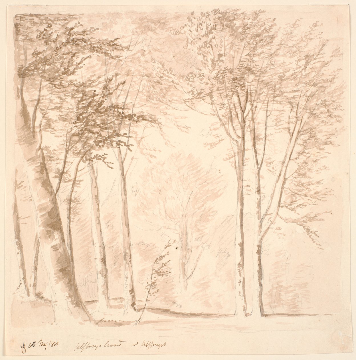 Paysage forestier - J.P. Møller