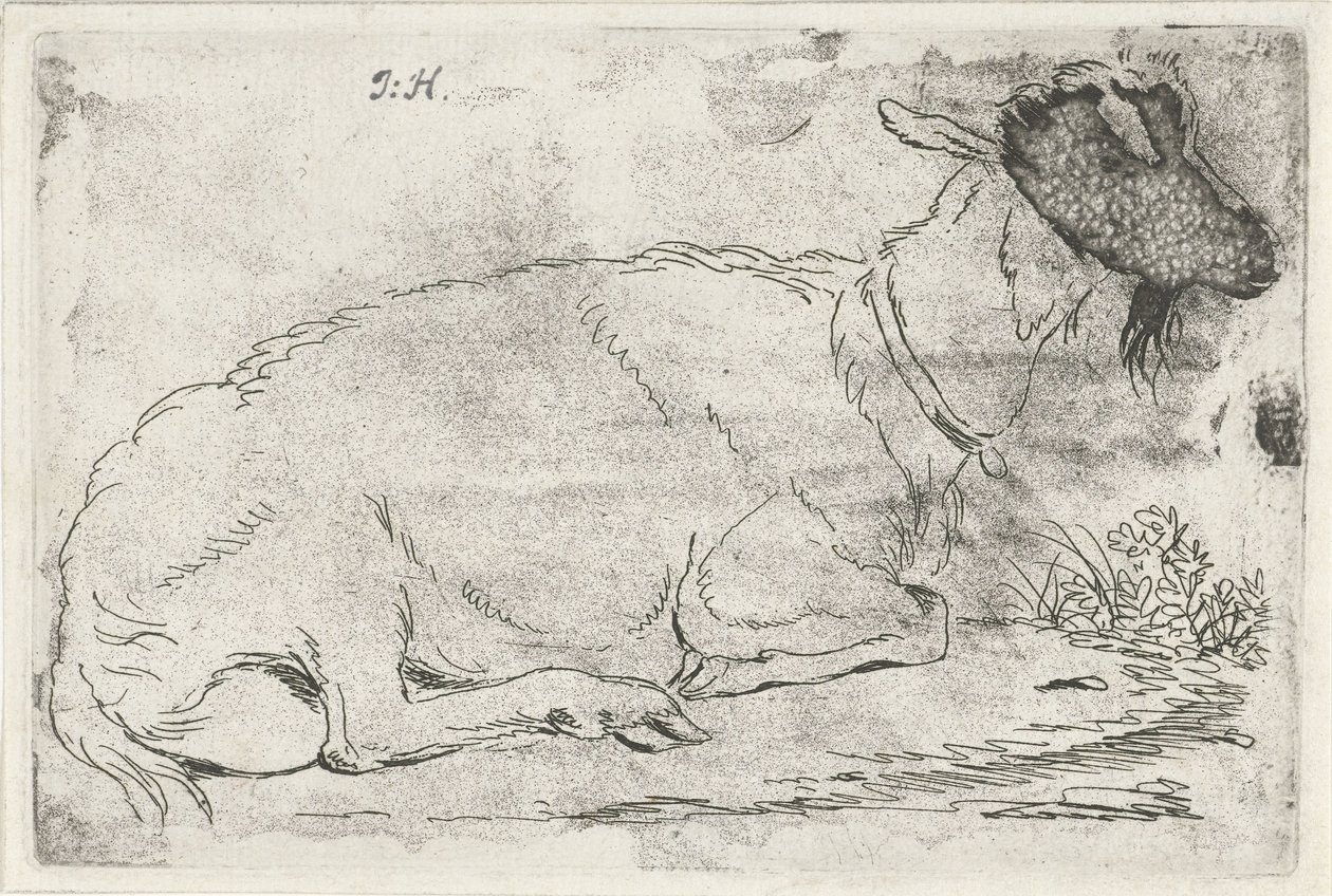 Chèvre couchée - Jabes Heenck (signed by artist)