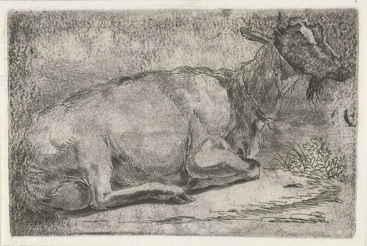 Chèvre couchée - Jabes Heenck