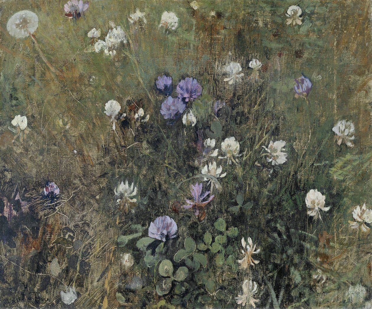 Trèfle en fleur - Jac van Looij