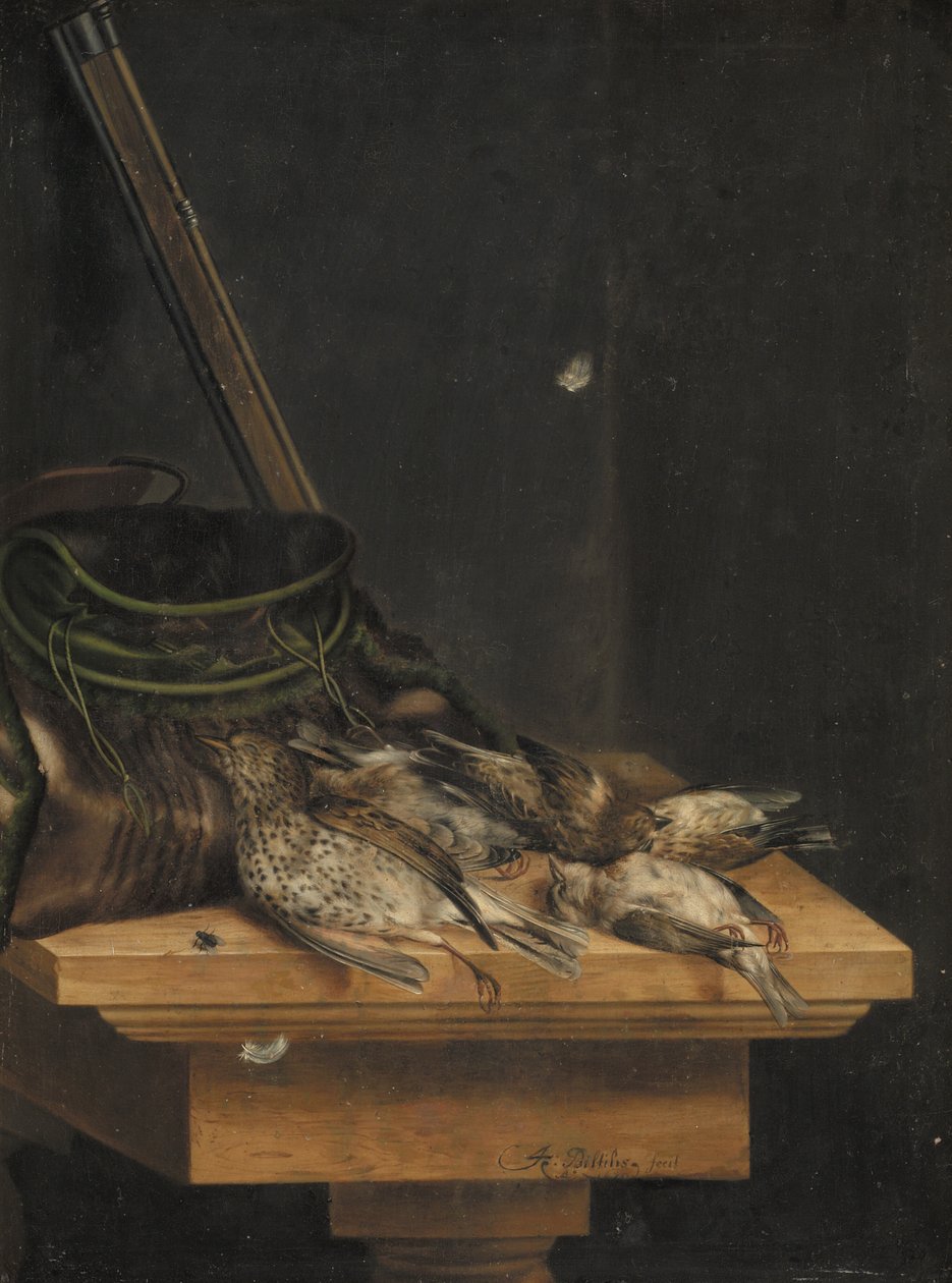Oiseaux morts - Jacob Biltius