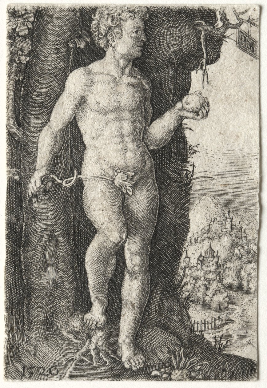 Adam, 1526 - Jacob Binck