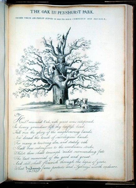 Le chêne dans le parc de Penshurst - Jacob George Strutt