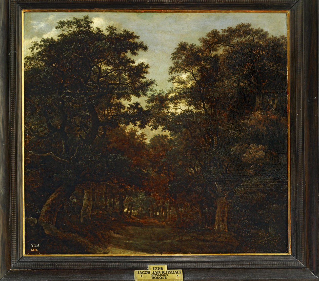Forêt ... - Jacob Isaaksz. or Isaacksz. van Ruisdael
