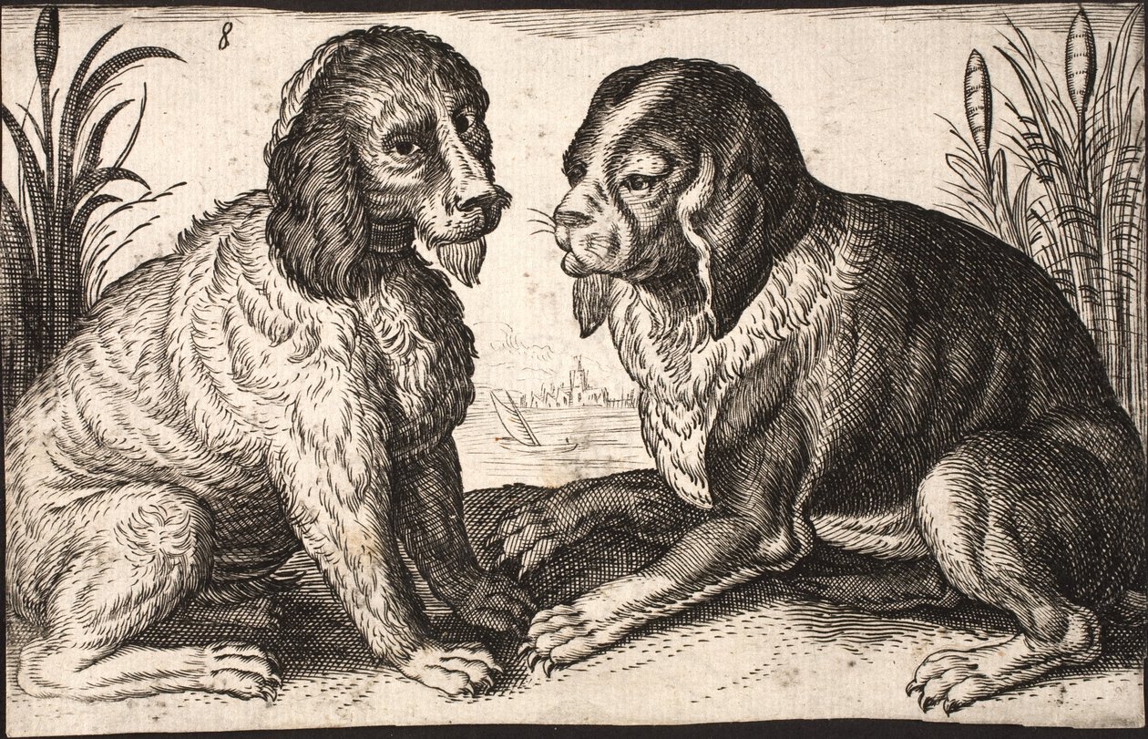 Deux chiens au bord d