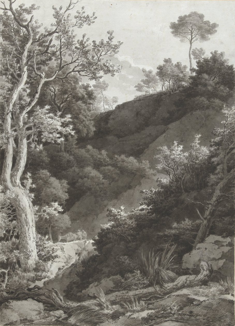 Pente boisée - Jacob Philipp Hackert
