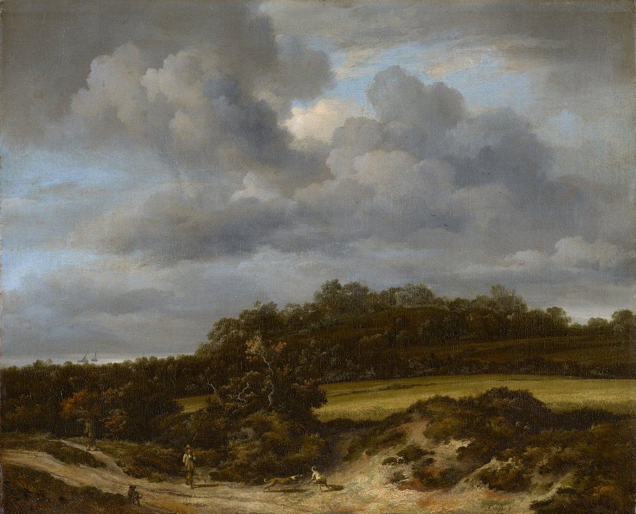 Le champ de maïs - Jacob van Ruisdael