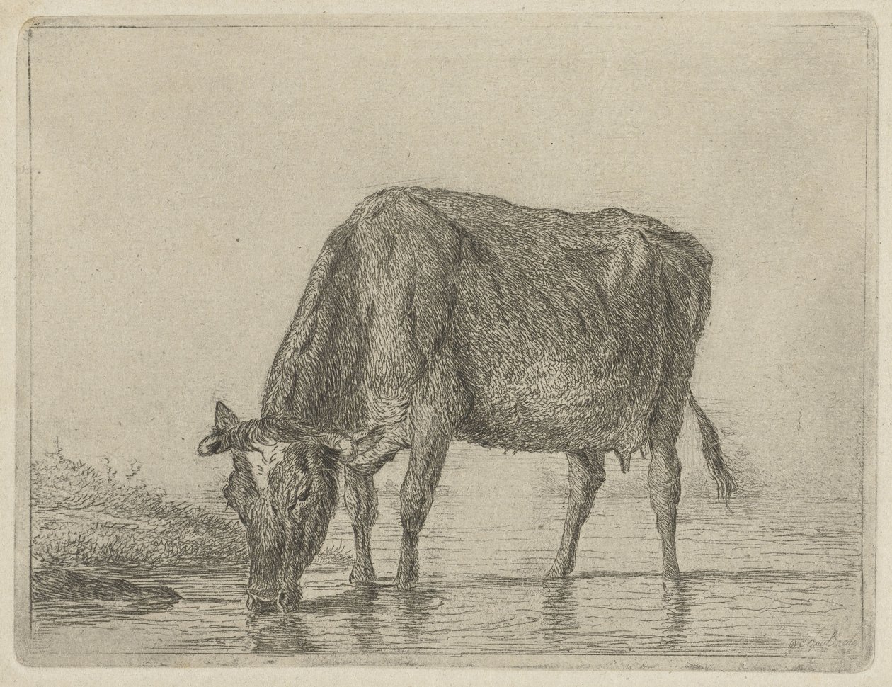 Vache buvant - Jacobus Cornelis Gaal