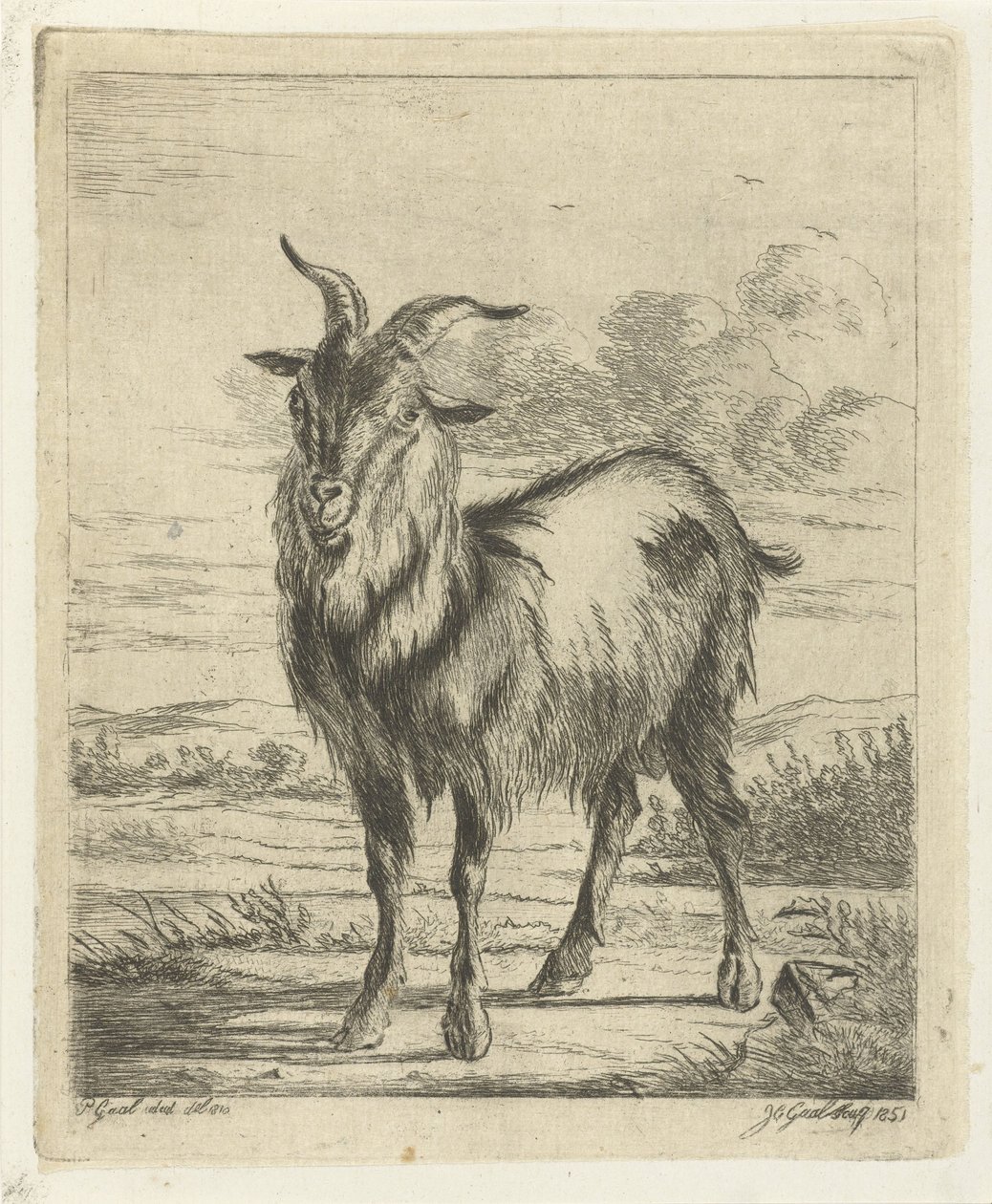 Chèvre debout - Jacobus Cornelis Gaal