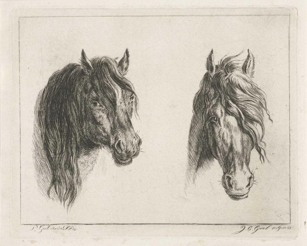 Deux têtes de chevaux - Jacobus Cornelis Gaal