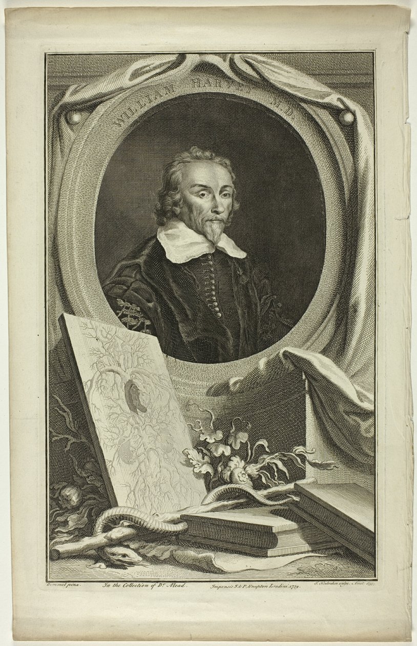 William Harvey, M.D. - Jacobus Houbraken